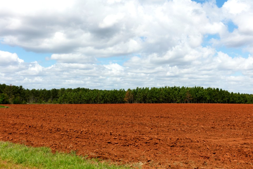 Field in Plains, Georgia. Original image from Carol M. Highsmith’s America, Library of Congress collection.