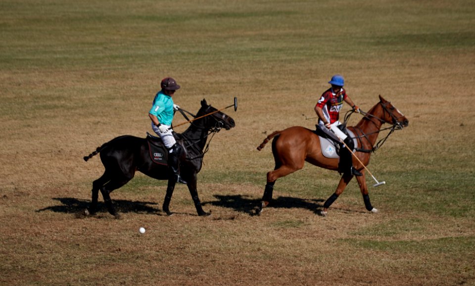 Contestants in the Bentley’s Scottsdale Polo Championship at the WestWorld, a multi-use events facility in Scottsdale, Arizona. Original image from Carol M. Highsmith’s America, Library of Congress collection.