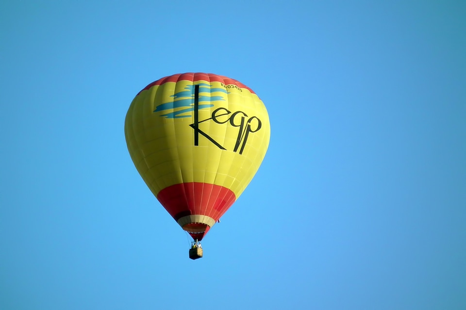 Fly transport yellow