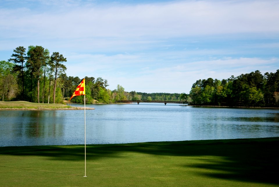 Grand National Golf Course - Part of the Robert Trent Jones Trail in Auburn/Opelika, Alabama. Original image from Carol M. Highsmith’s America, Library of Congress collection.