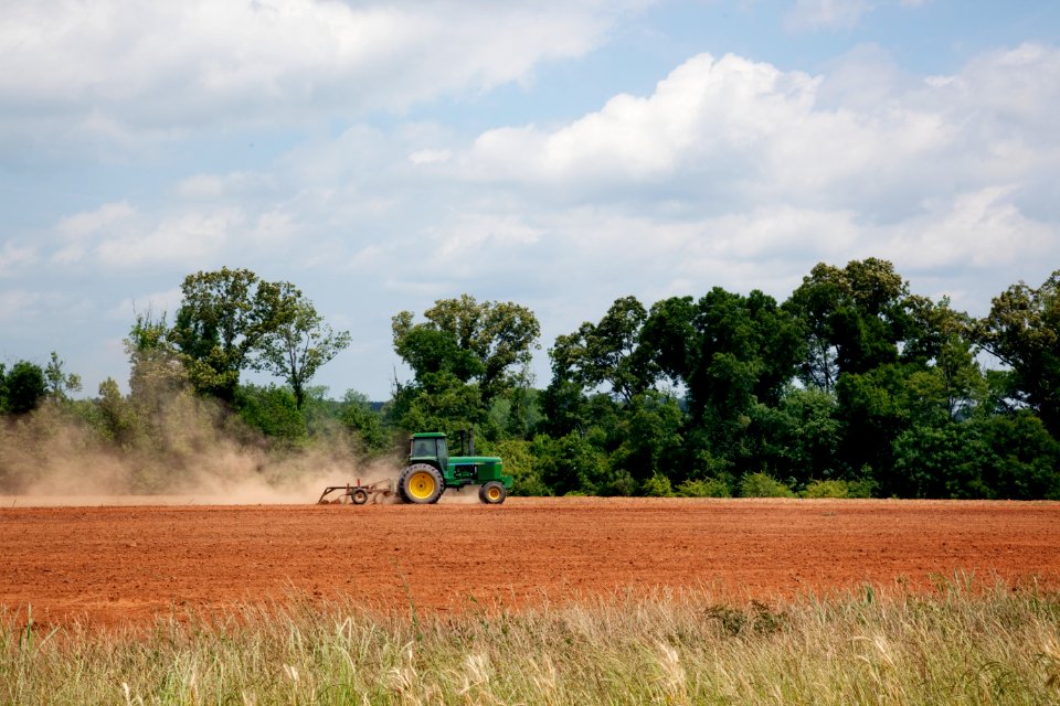 Farmland in Monroe County, Alabama. Original image from Carol M. Highsmith’s America, Library of Congress collection.