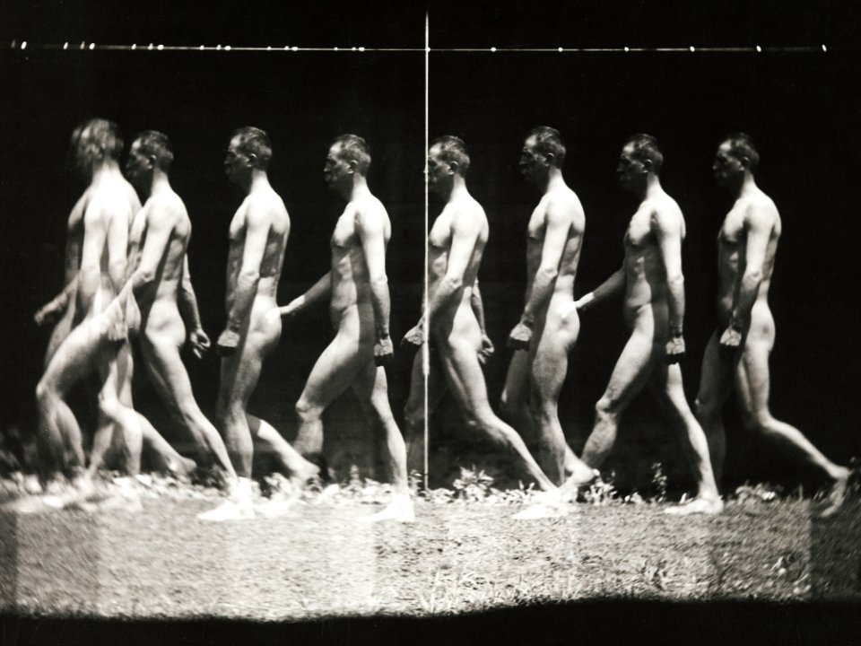 Nude photography of naked man walking, "Stroboscopic" Photograph (1880s, printed 1930s–40s) by Thomas Eakins.