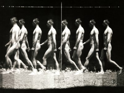 Nude photography of naked man walking, "Stroboscopic" Photograph (1880s, printed 1930s–40s) by Thomas Eakins. photo