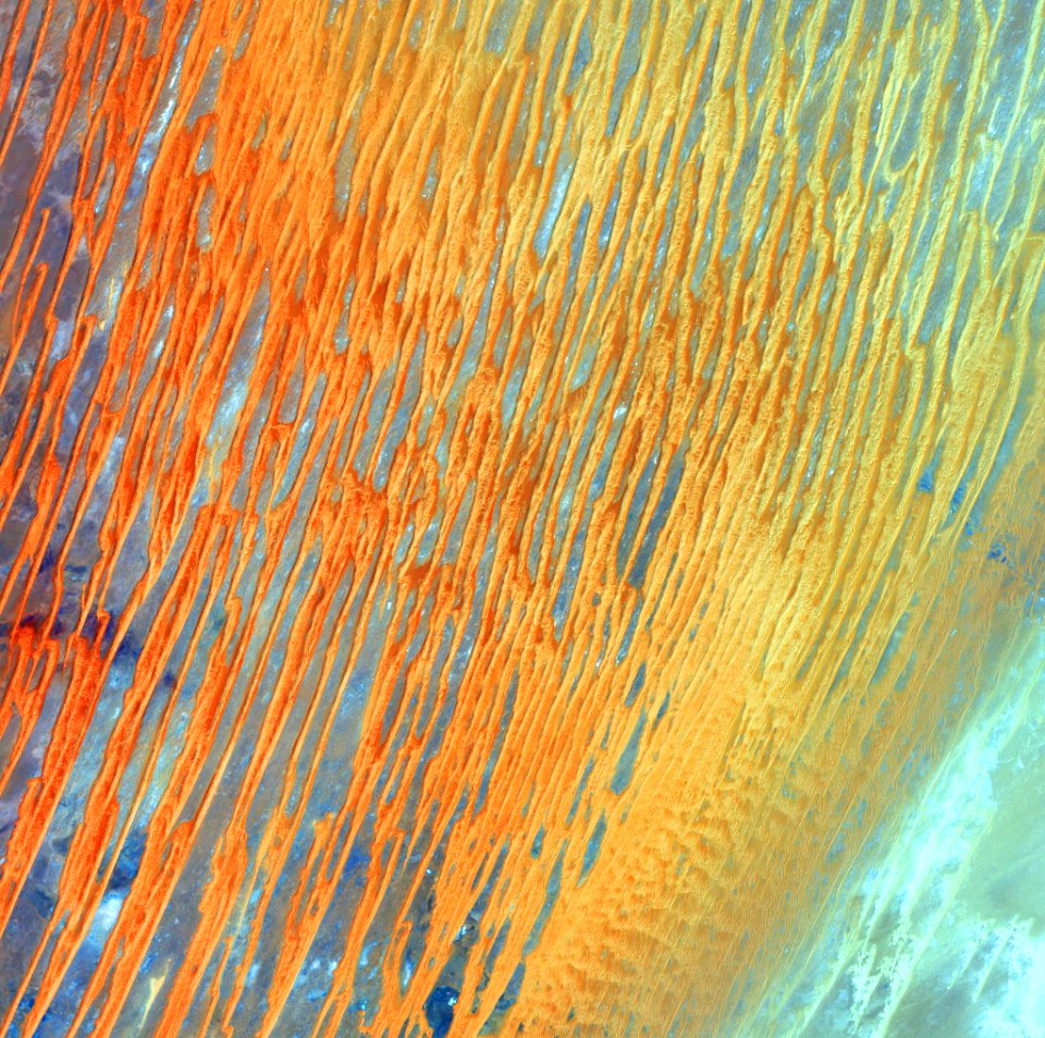 Ribbons of Saharan sand dunes seem to glow in sunset colors.