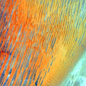 Ribbons of Saharan sand dunes seem to glow in sunset colors.