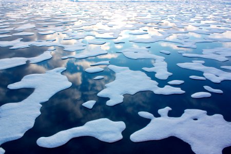 On July 20, the U.S. Coast Guard Cutter Healy steamed south in the Arctic Ocean toward the edge of the sea ice.