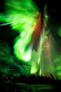 St. Patrick's aurora, a green aurora taken at Donnelly Creek, Alaska, March 17th, 2015.
