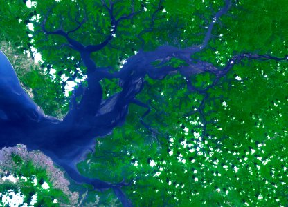 Image acquired by NASA's Terra spacecraft of the Sierra Leone estuary. photo