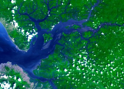 Image acquired by NASA's Terra spacecraft of the Sierra Leone estuary.