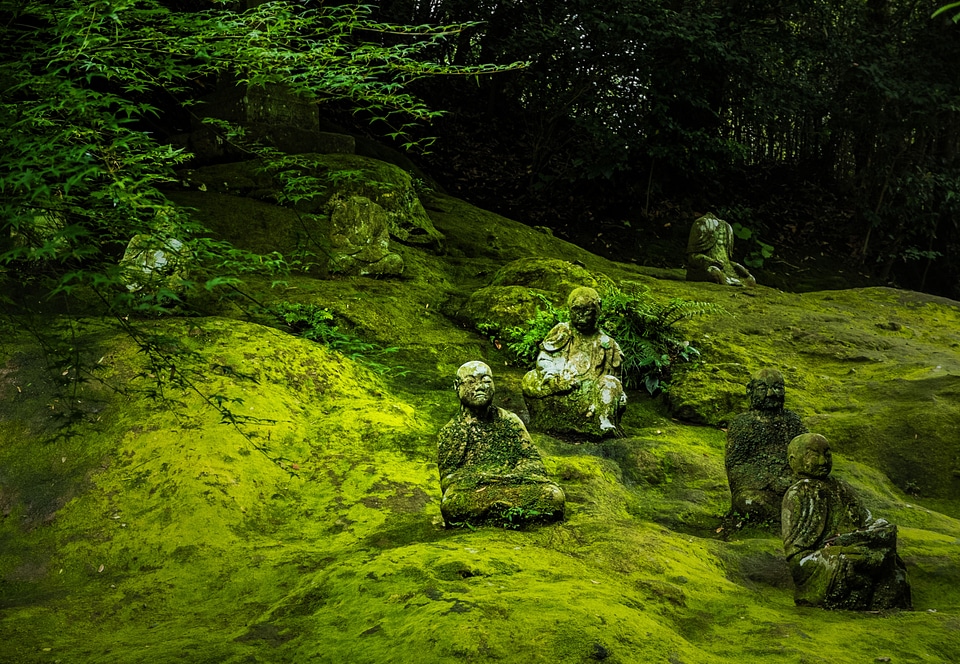 Buddhism statue asia