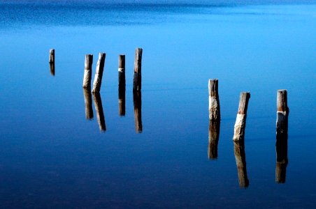 The remnant pilings of a long-gone dock appear to float in air due to their reflection in the blue, still water of a pond near NASA Kennedy Space Center. photo
