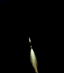 Liftoff of the Apollo 11 lunar landing mission.