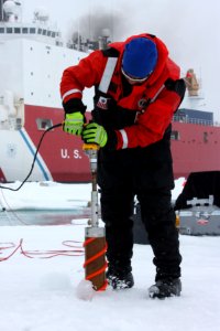 Benny Hopson from the Barrow Arctic Science Consortium in Alaska drills a core sample from sea ice in the Chukchi Sea on July 4, 2010. photo