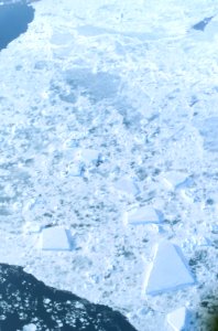 The Larsen Ice Shelf in Antarctica viewed from NASA's DC-8 aircraft during the AirSAR 2004 campaign . photo