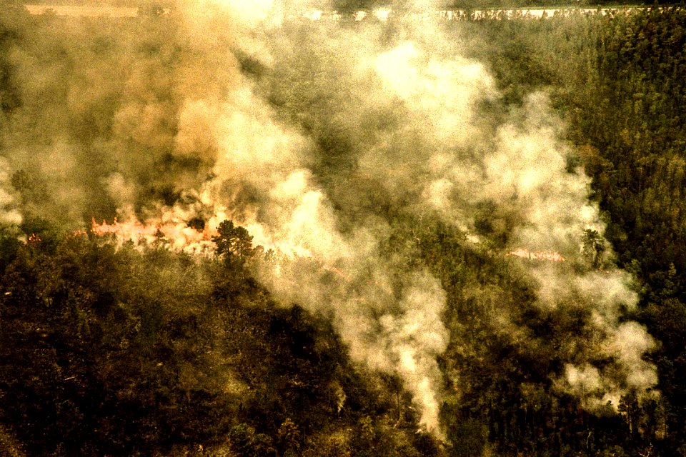 A forest fire burning in Volusia County, Florida. photo