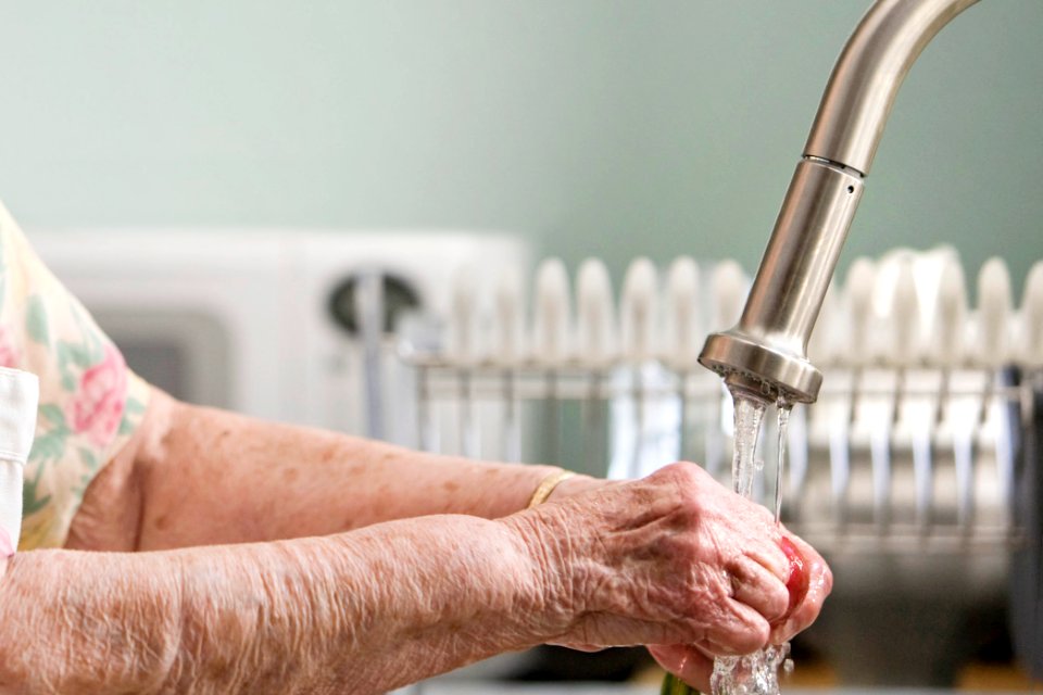 Grandmother properly cleaning fresh, uncooked produce under a running tap. Original image sourced from US Government department: Public Health Image Library, Centers for Disease Control and Prevention. Under US law this image is copyright free, please credit the government department whenever you can”.