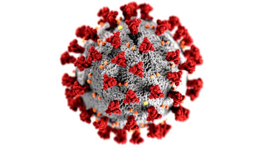 Ultrastructural morphology shown by coronavirus. Original image sourced from US Government department: Public Health Image Library, Centers for Disease Control and Prevention. Under US law this image is copyright free, please credit the government department whenever you can”. photo
