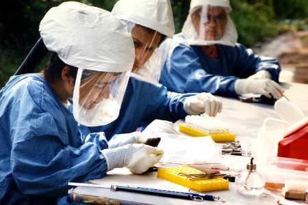 Health officials inspecting specimens suspected of being connected to a hantavirus outbreak. Original image sourced from US Government department: Public Health Image Library, Centers for Disease Control and Prevention. Under US law this image is copyright free, please credit the government department whenever you can”.