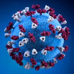 A 3D graphic representation of a spherical-shaped, measles virus particle, that was studded with glycoprotein tubercles. Original image sourced from US Government department: Public Health Image Library, Centers for Disease Control and Prevention. Under US law this image is copyright free, please credit the government department whenever you can”.