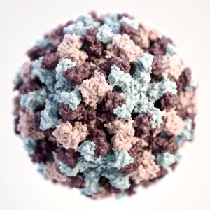 A 3D illustration provides a graphical representation of a single norovirus virion, set against a beige background. Original image sourced from US Government department: Public Health Image Library, Centers for Disease Control and Prevention. Under US law this image is copyright free, please credit the government department whenever you can”.