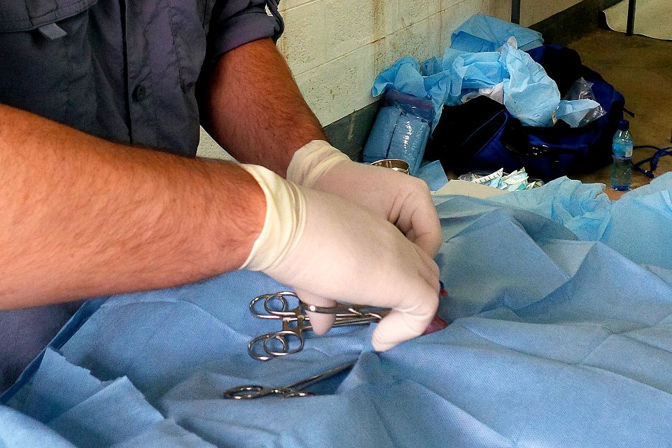 A doctor performing a surgical procedure on a canine patient. Original image sourced from US Government department: Public Health Image Library, Centers for Disease Control and Prevention. Under US law this image is copyright free, please credit the government department whenever you can”.