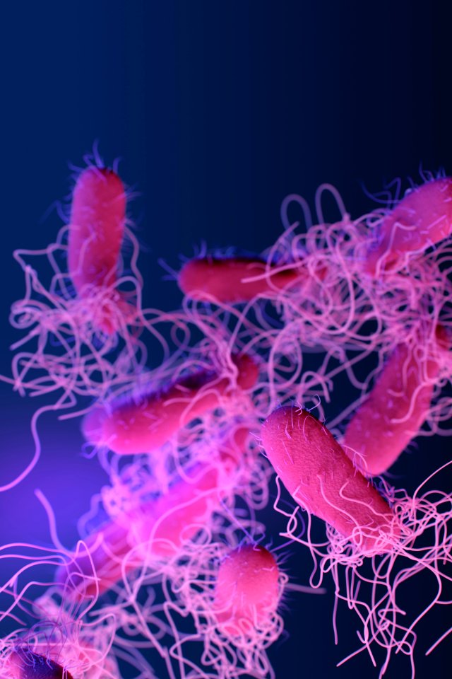 A medical illustration of drug–resistant, nontyphoidal, Salmonella sp. bacteria. Original image sourced from US Government department: Public Health Image Library, Centers for Disease Control and Prevention. Under US law this image is copyright free, please credit the government department whenever you can”.