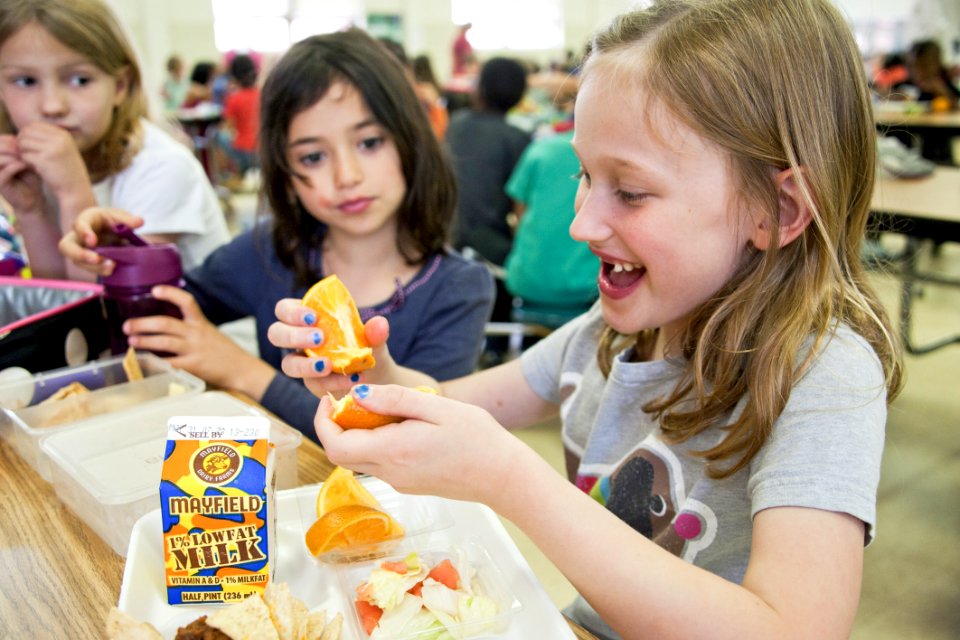 Girls having lunch at canteen. Original image sourced from US Government department: Public Health Image Library, Centers for Disease Control and Prevention. Under US law this image is copyright free, please credit the government department whenever you can”.

We are proud to support Hope for Children on their mission to ensure children in the most extreme poverty are as happy and content as any other child, enjoying a childhood that sets them up for a fulfilling future - because every child deserves that.

As well as donating 10% of our revenue to Hope for Children we have created this special collection FREE for everyone to enjoy.

If you can, please visit Hope for Children to give back by donating or to learn about other ways you can support their mission.