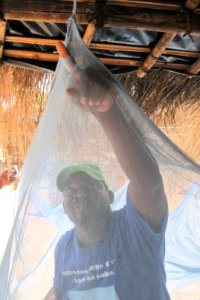Man evaluating mosquito nets to prevent Malaria. Original image sourced from US Government department: Public Health Image Library, Centers for Disease Control and Prevention. Under US law this image is copyright free, please credit the government department whenever you can”.