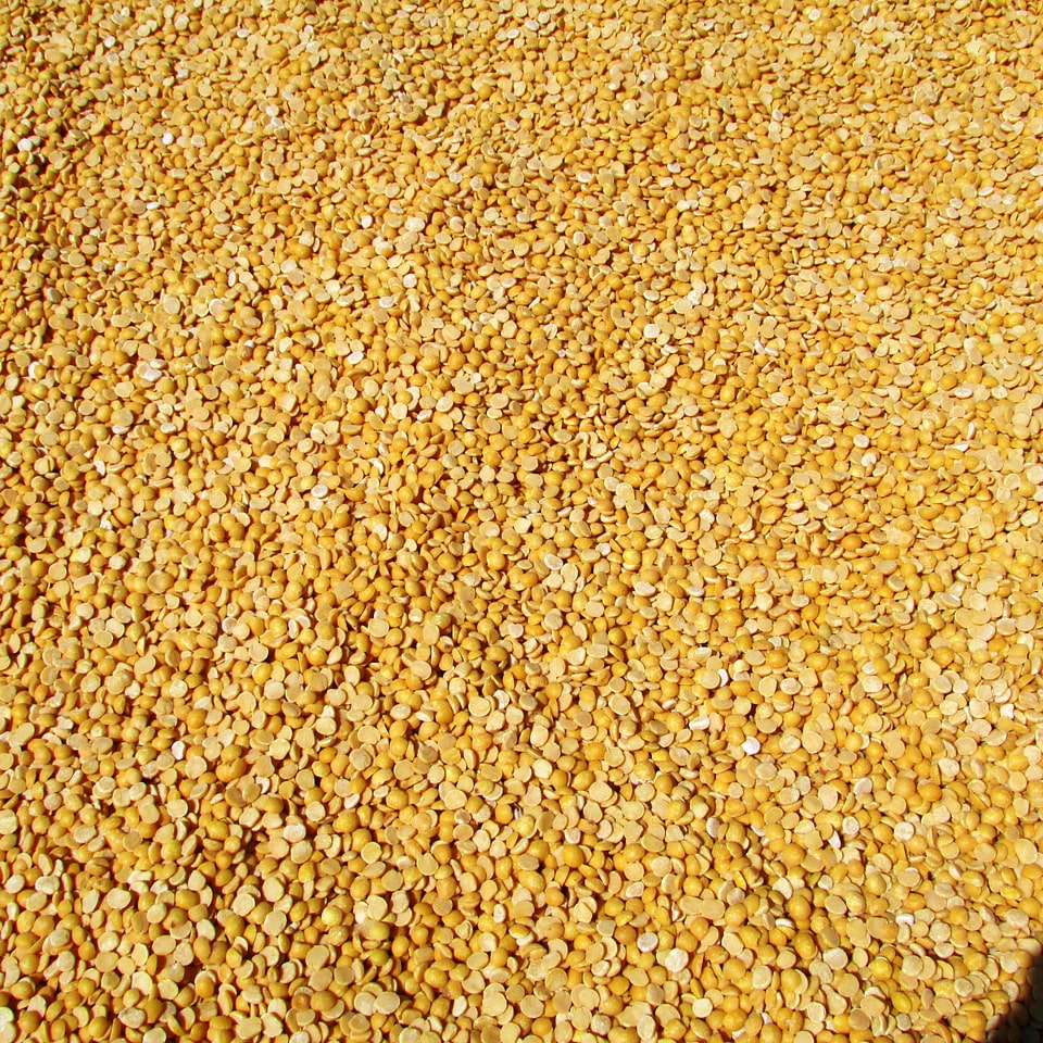 Crop harvested agriculture