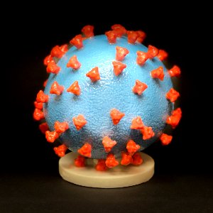 3D print of a SARS-CoV-2—also known as 2019-nCoV. Original image sourced from US Government department: The National Institute of Allergy and Infectious Diseases. Under US law this image is copyright free, please credit the government department whenever you can”. photo