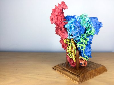 3D Print of MERS-CoV Spike. Original image sourced from US Government department: The National Institute of Allergy and Infectious Diseases. Under US law this image is copyright free, please credit the government department whenever you can”.