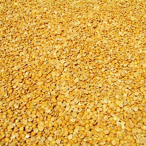 Crop harvested agriculture