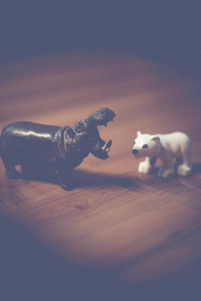 Miniature Hippo And Polar Bear