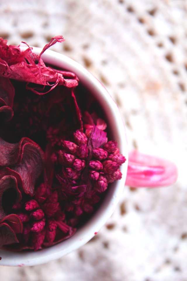 Close-up Of Pink Flower