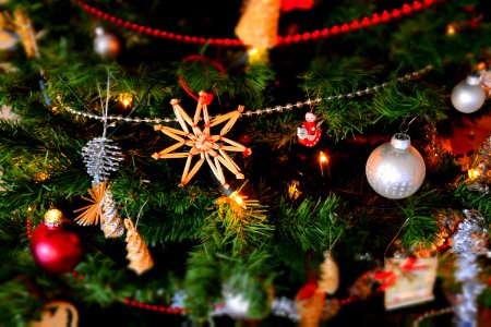 Close-up Of Christmas Decoration Hanging On Tree photo