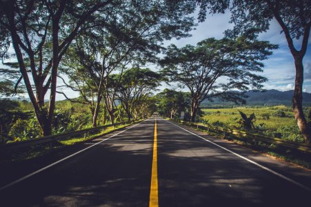 Shaded Road photo