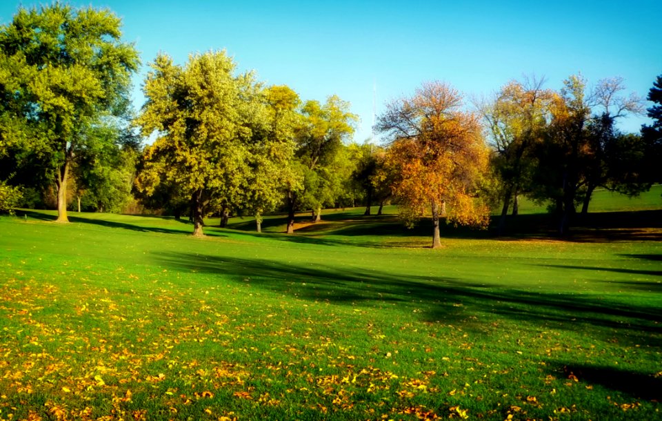 Trees In Golf Course Omaha Nebraska