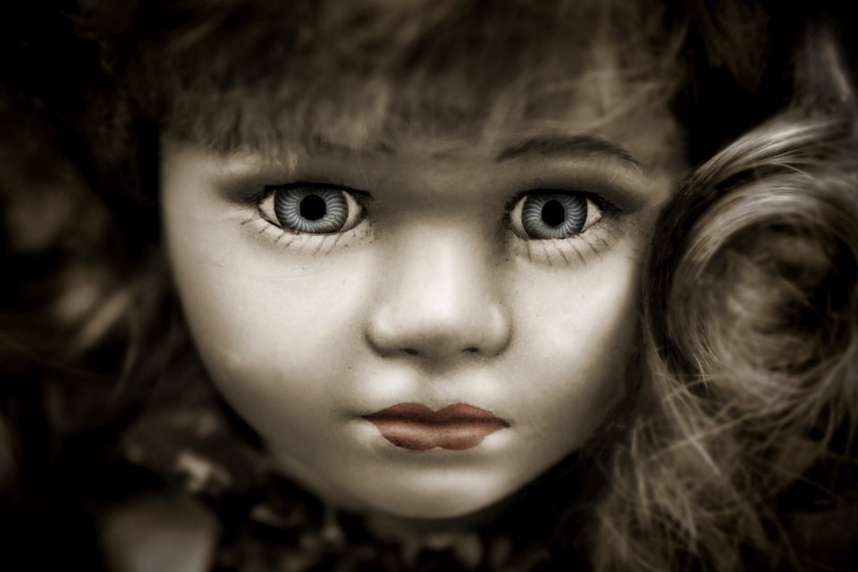 Doll With Grey Eyes And Brown Hair