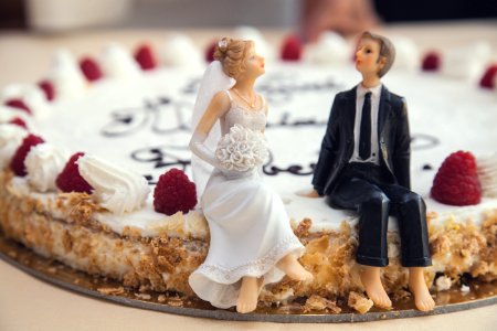 Bride And Groom On Cake photo