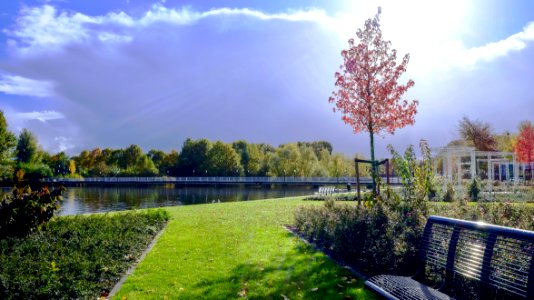 Black Metal Bench On Grassy Garden photo