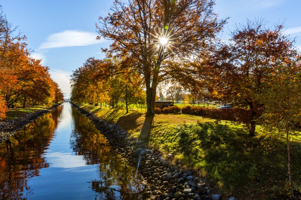 Brown Tree Near Green And Brown Grass Beside River photo