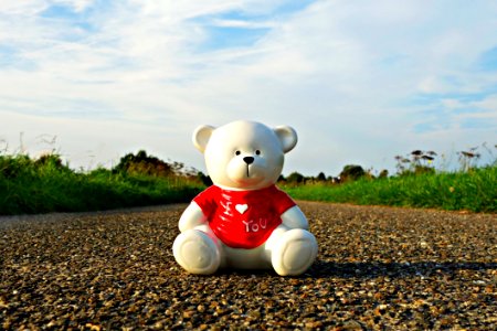 Teddy Bear On Stone Road