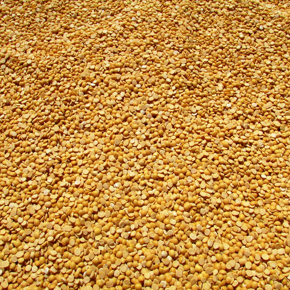 Crop harvested agriculture