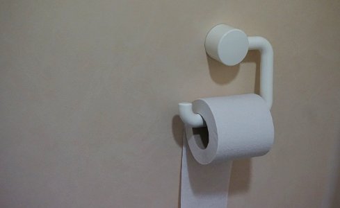 White Toilet Paper photo