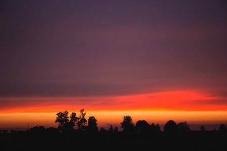 Silhouettes Of Trees During Dawn photo