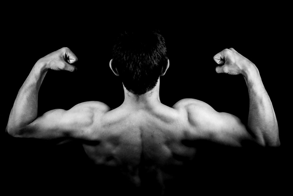 Man In Muscle Back View