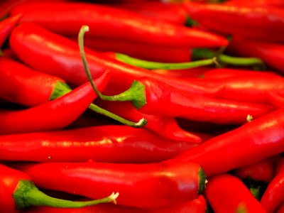 Red Chili Pepper photo