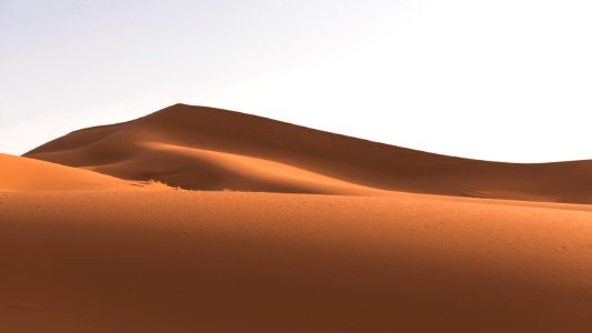 Sand Dunes photo