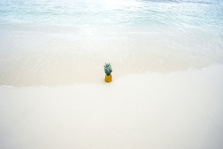 Pineapple In The Middle Of The Seashore photo