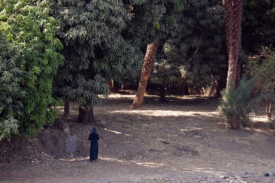 Woman traditional dress leaf litter